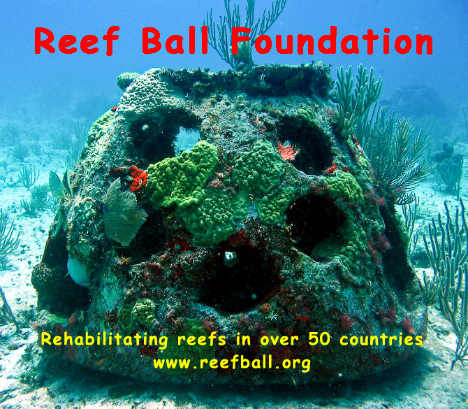 reef-ball-2