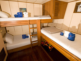 Deep Andaman Queen Similan Islands Liveaboard Standard Triple Cabin