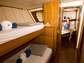 Deep Andaman Queen Similan Islands liveavboard Phuket Standard Quad Cabin